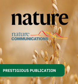 Publications in Nature and Nature Communications
