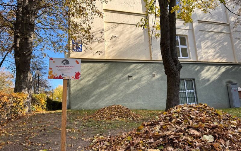 grafika
