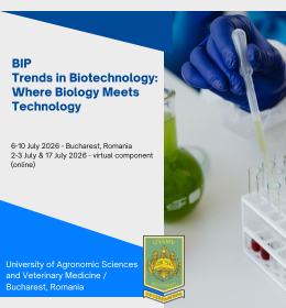 Krótkoterminowa mobilność mieszana (BIP) dla studentów w Bukareszcie