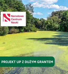 Konsorcjum z udziałem Wydziału Biologii Środowiskowej zdobyło grant w konkursie OPUS 29 Narodowego Centrum Nauki