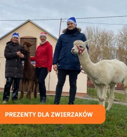 Mikołajki wśród zwierzaków