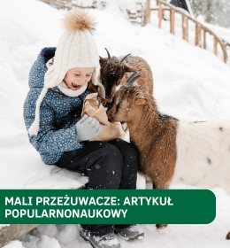 Kiedy mali mieszkańcy stajenki potrzebują spokoju: nowoczesne leczenie wrzodów trawieńca u owiec i kóz