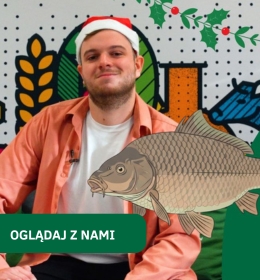 Ostatni odcinek z serii EKO VEGE FIT ANIMALS