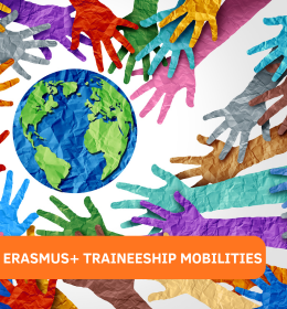 Open call for Erasmus+ traineeship mobilities 2025/2026 and 2026/2027