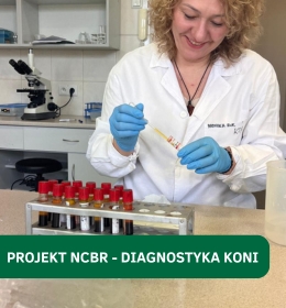 Projekt NCBR - innowacyjny test do diagnostyki tasiemczycy u koni