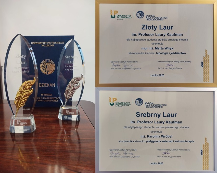 Złoty i&nbsp;srebrny Laur - szklane statuetki i&nbsp;druki w&nbsp;złotych i&nbsp;srebrnych ramkach