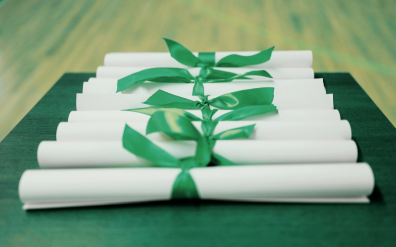 ilustracja stypendyści MNISW