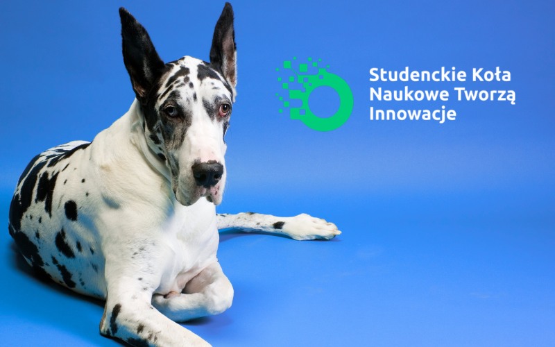 ilustracja Studenckie koła naukowe tworzą innowacje