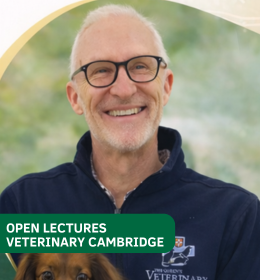 Open Lectures with a European Specialist in Veterinary Neurology