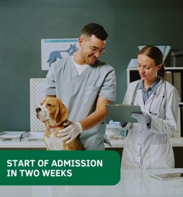 Get ready for the start of admission