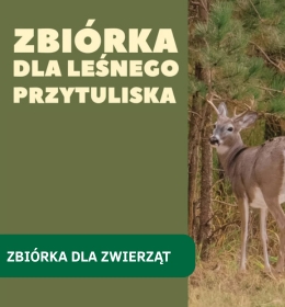 Zbiórka dla Leśnego Przytuliska