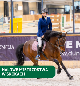 Halowe mistrzostwa województwa lubelskiego w skokach przez przeszkody