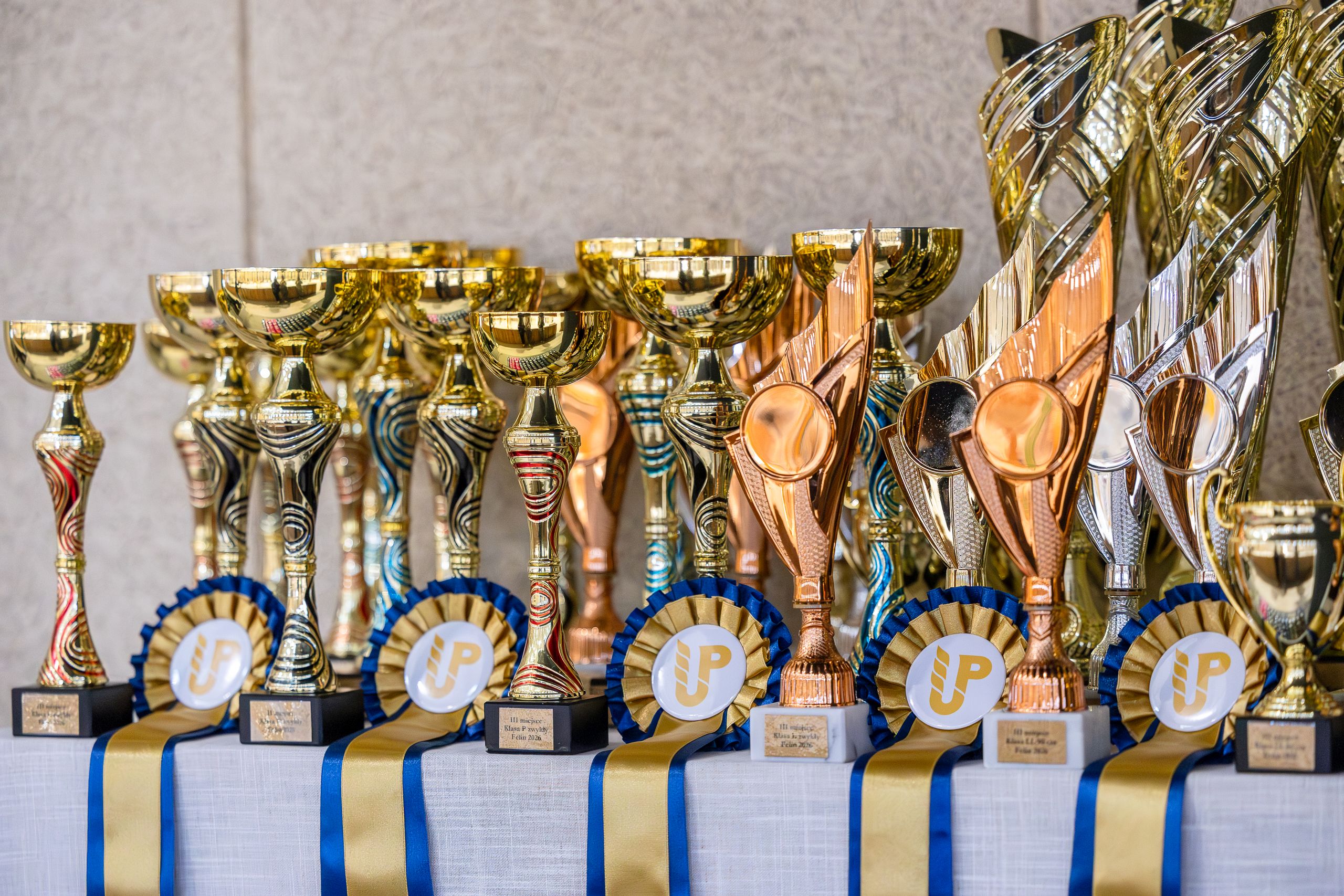 Halowe mistrzostwa województwa lubelskiego w&nbsp;skokach przez przeszkody