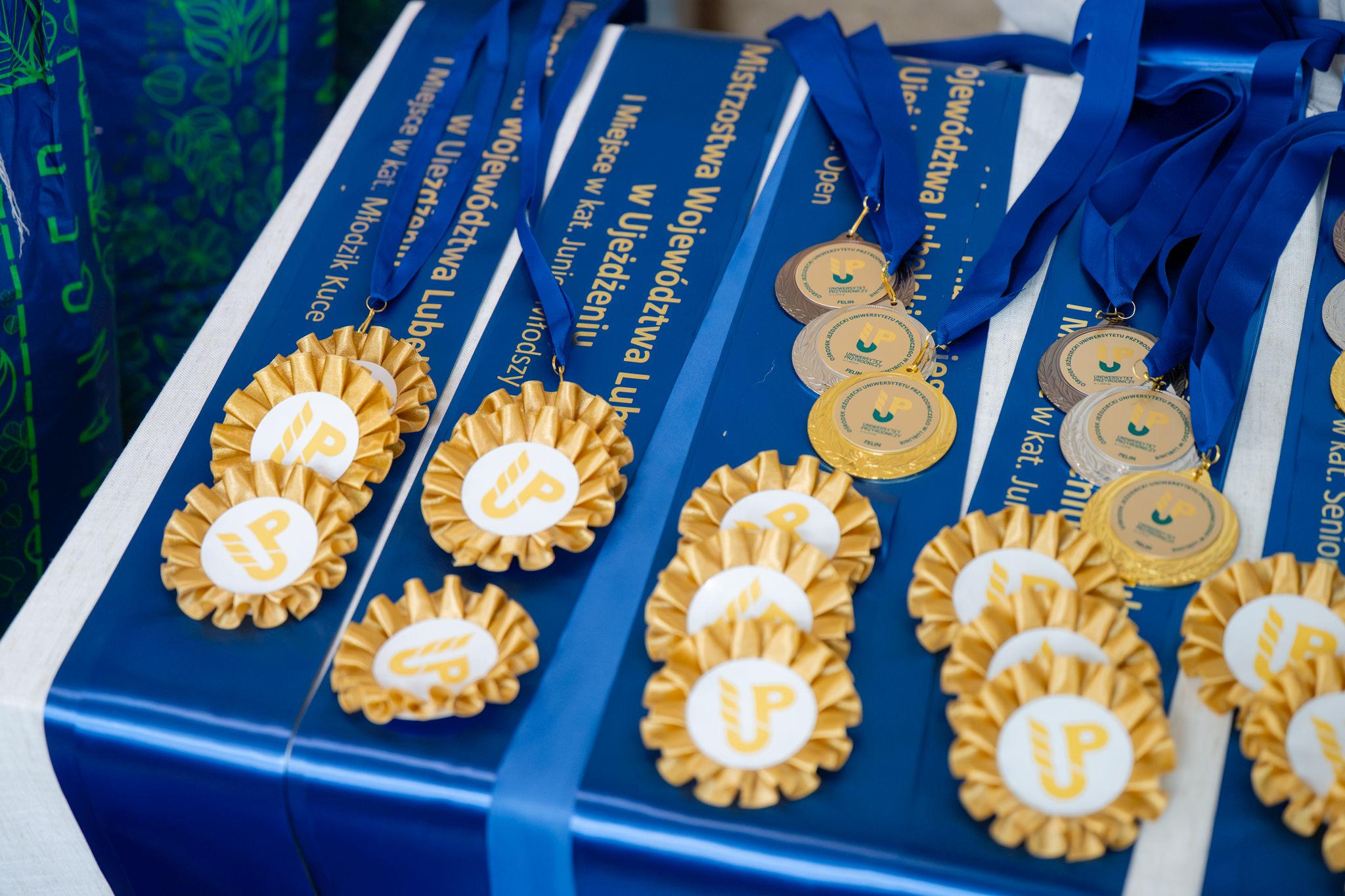 Mistrzostwa w&nbsp;ujeżdżeniu rozegrane