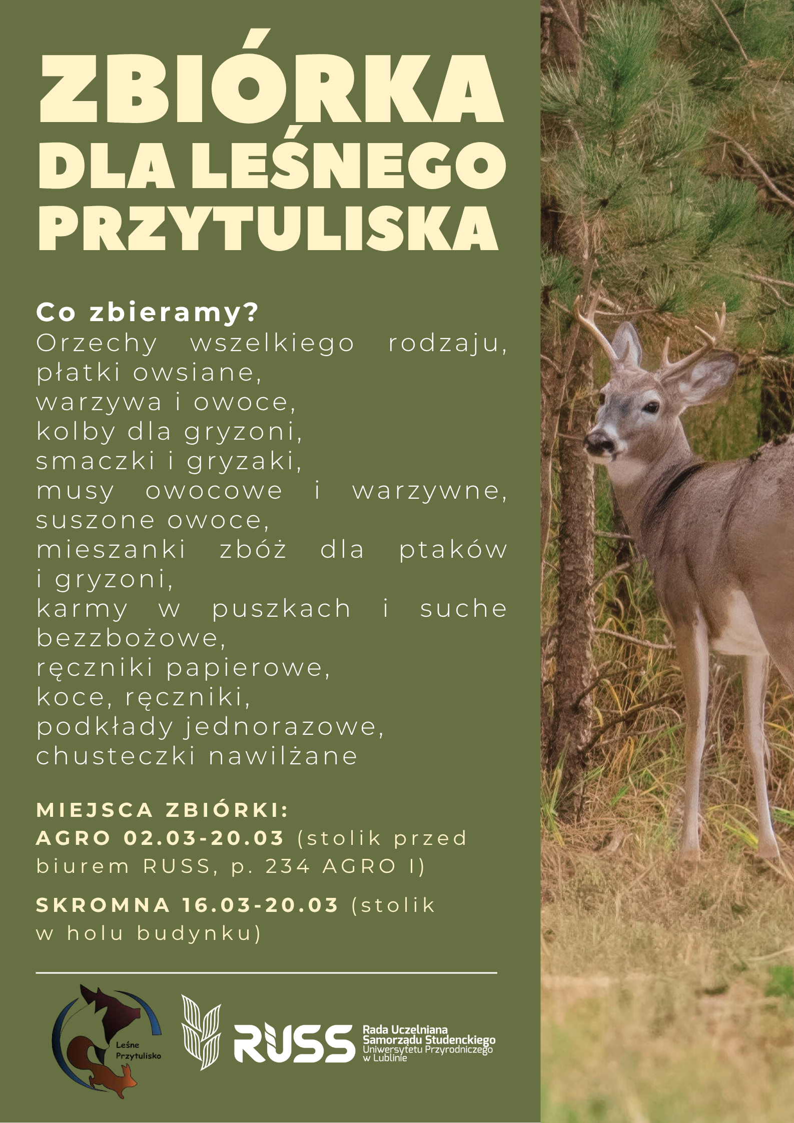 ilustracja - zbiórka na Przytulisko dla zwierząt