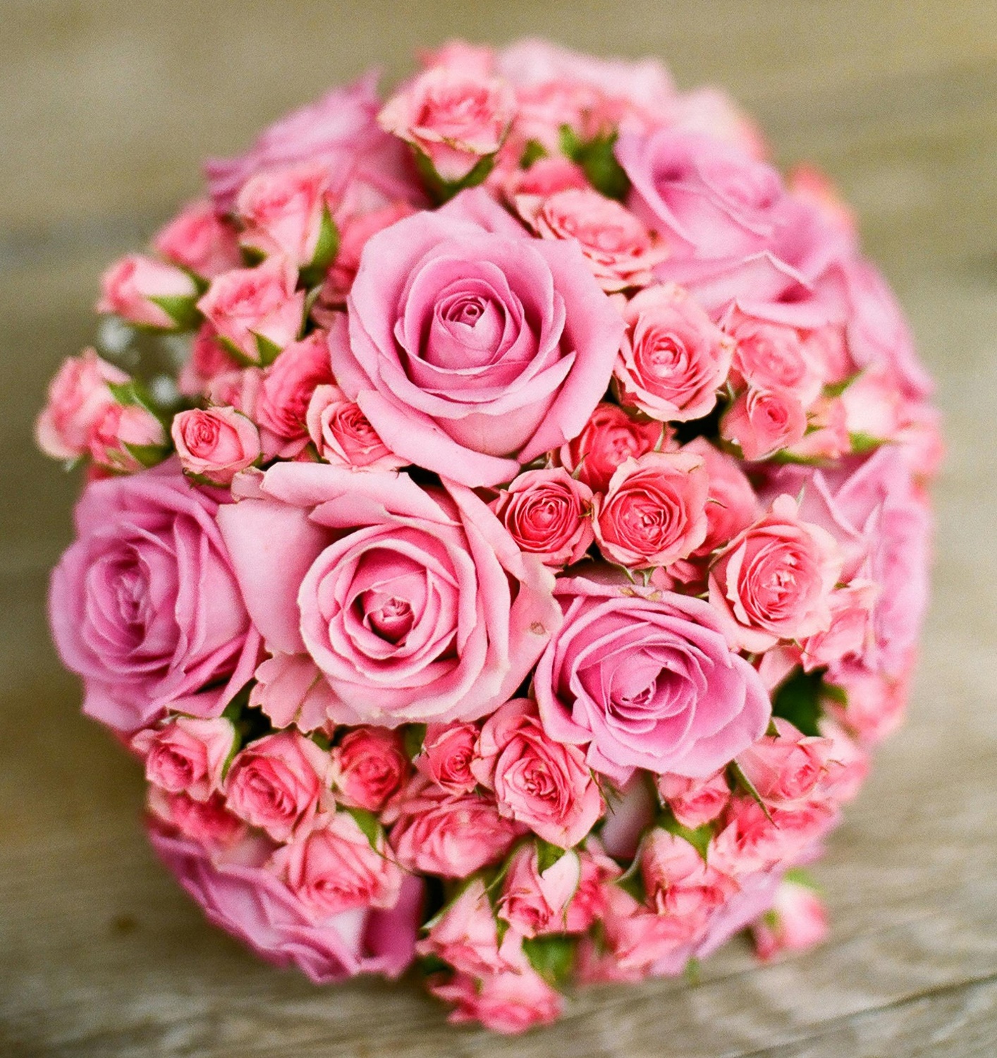 kula z&nbsp;różowych róż