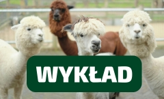 Zapraszamy na wykład o alpakach