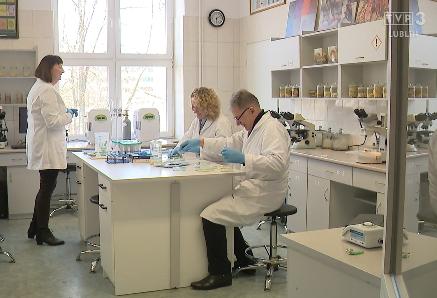 prof. Tomczuk i&nbsp;dwie współpracownice w&nbsp;białych fartuchach, w&nbsp;laboratorium, szalki na stole, w&nbsp;tle - na szafie - mikroskopy i&nbsp;preparaty oraz okno