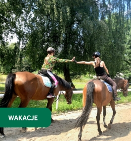 Półkolonie w siodle
