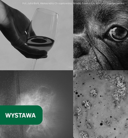 Zapraszamy na wystawę pt. „Zmysły”