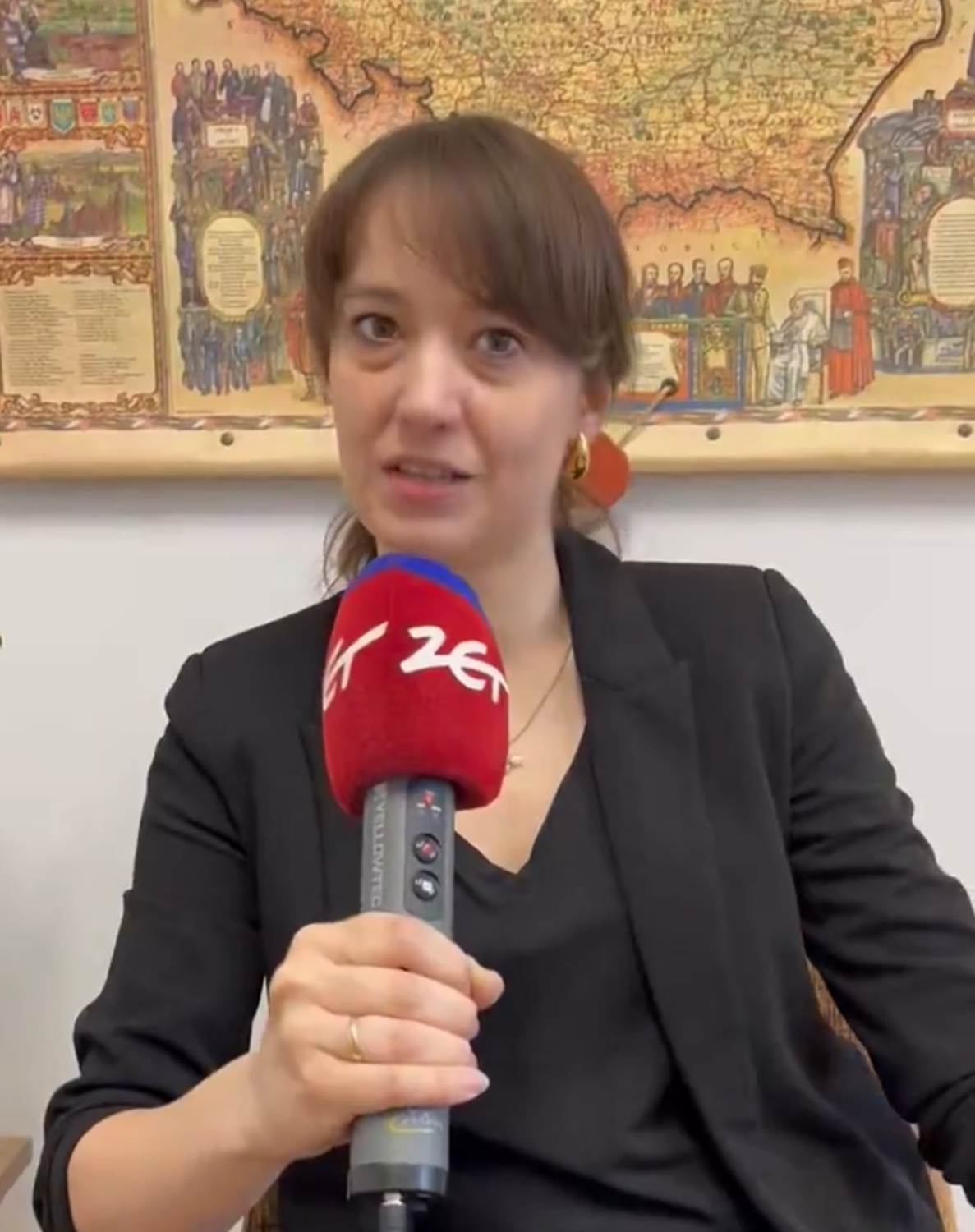 dr Ewelina Flis-Olszewska ubrana na czarno, trzyma w&nbsp;dłoni czerwony mikrofon, w&nbsp;tle stara mapa Polski długie włosy, w&nbsp;beżowym żakiecie, na tle palmy