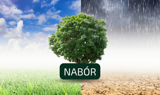 Ruszył nabór do Młodzieżowej Rady Klimatycznej IV kadencji