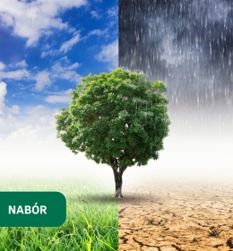 Ruszył nabór do Młodzieżowej Rady Klimatycznej IV kadencji