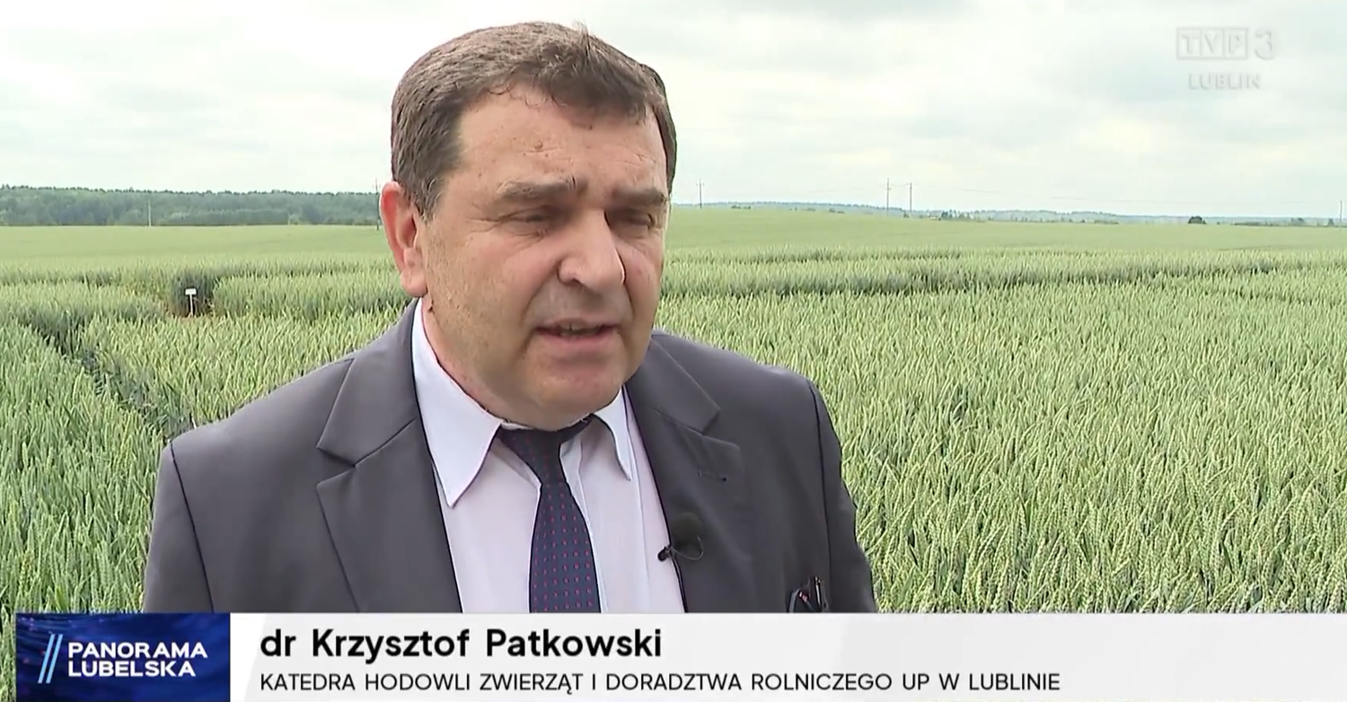 dr Krzysztof Patkowski - w&nbsp;szarym garniturze i&nbsp;granatowym krawacie stoi na tle zielonego pola pszenicy, dalej- szarozielony las i&nbsp;szare niebo