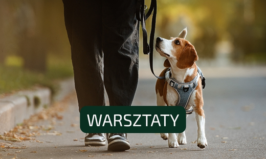 Zaproszenie na warsztaty „Spacer oczami psa - zrozumienie zachowań psów w środowisku miejskim”
