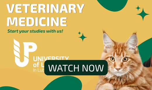 Dreaming of a career in veterinary medicine?