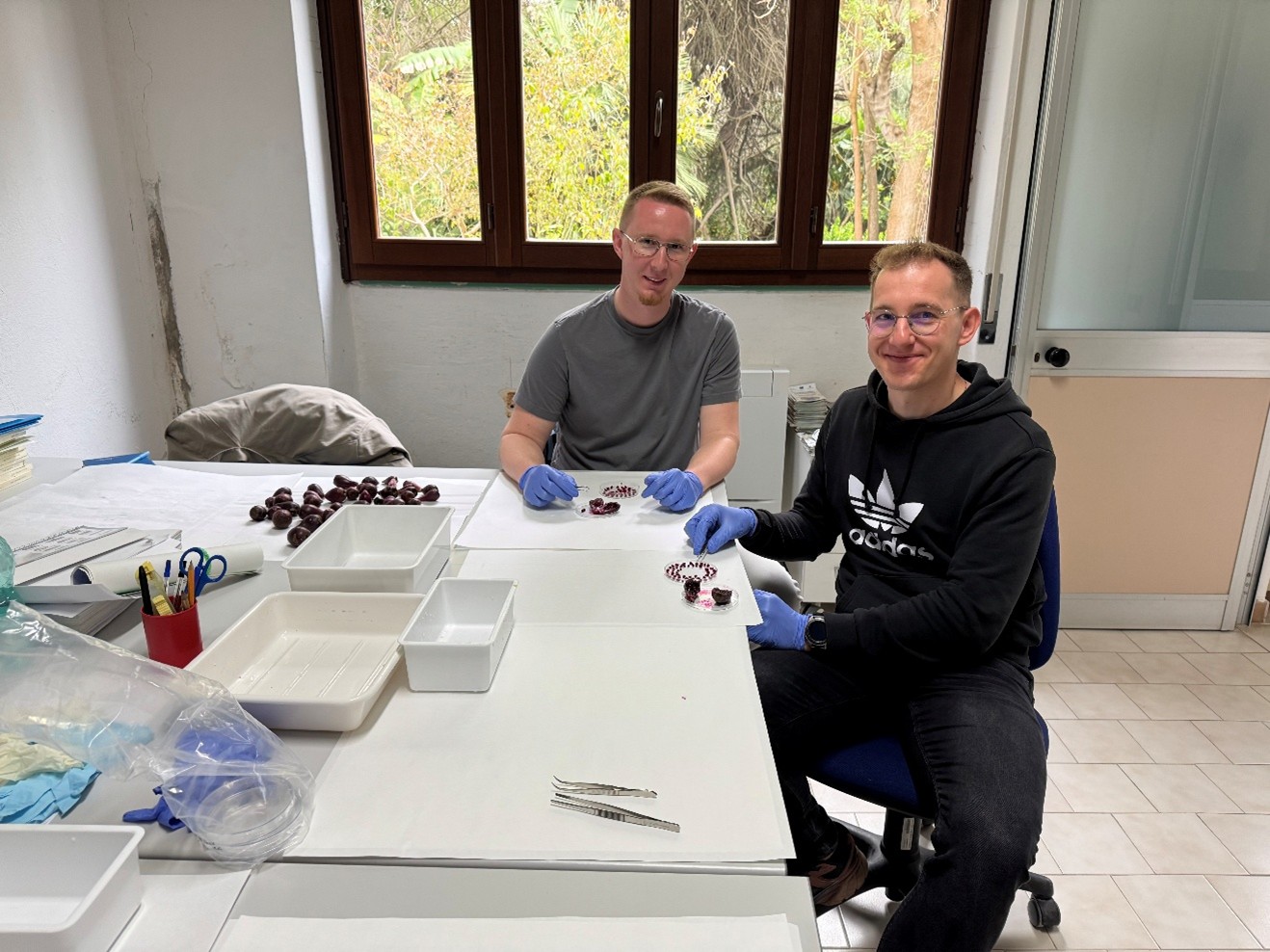 Mgr inż. Mateusz Piejak, Mgr inż. Michał Arciszewski, Uniwersytet w Cagliari, Włochy