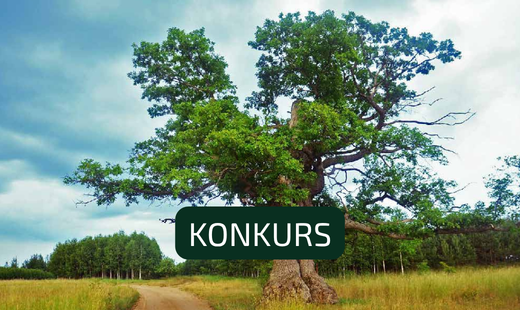Konkurs wakacyjny Programu Interreg Polska – Ukraina