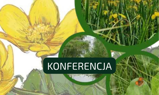 Międzynarodowa Konferencja Naukowa „Mokradła w dobie zmian klimatu” – zaproszenie do udziału