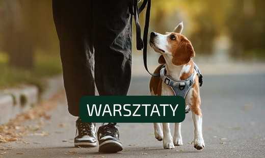 Zaproszenie na warsztaty „Spacer oczami psa - zrozumienie zachowań psów w środowisku miejskim”