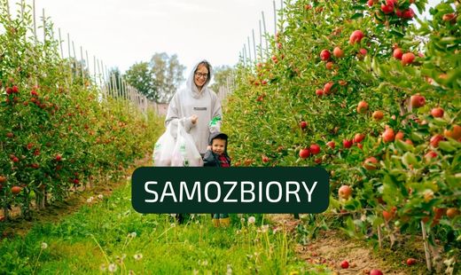 To już ostatnia szansa na jesienne samozbiory!