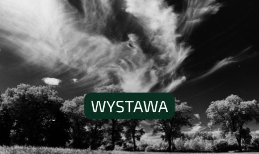 Pejzaż w podczerwieni