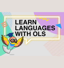 Zmiany na platformie OLS - Online Language Support